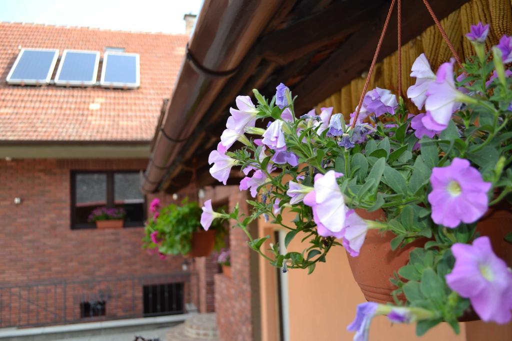 Penzion Vinarsky Dvorek Velke Nemcice Buitenkant foto